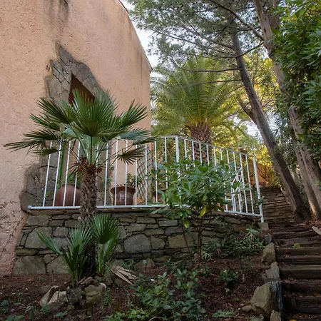 - La Mignonette Villa Cavalaire-sur-Mer