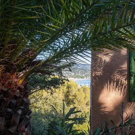 - La Mignonette Villa