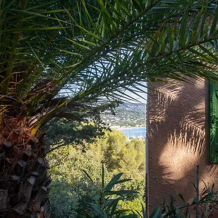 - La Mignonette Villa *
